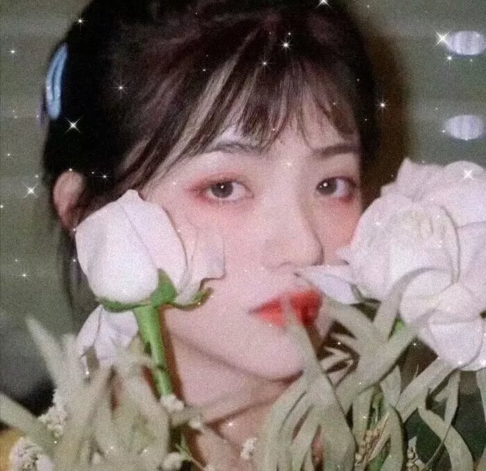 演员 王鹤棣